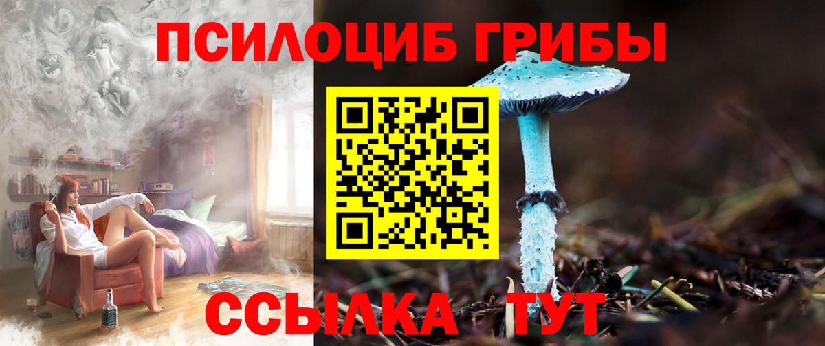Псилоцибиновые грибы MAGIC MUSHROOMS  Вход с VPN  Псилоцибиновые грибы Magic Shrooms  Омск 